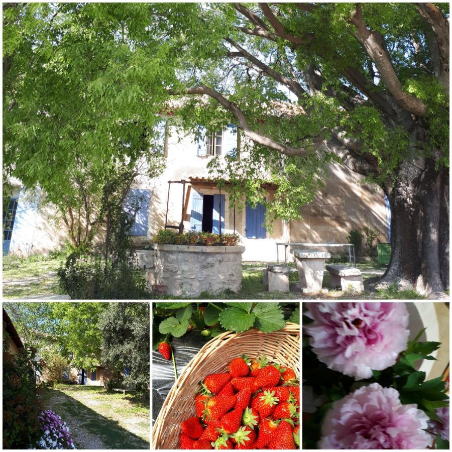 Bed and Breakfast Mas Saint-Joseph à Fontvieille Extérieur photo
